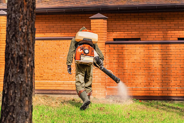 Trusted Cockroach Control service in Portland, TX - Nex Pest Control